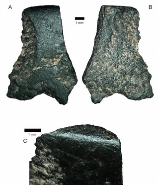 Image: Newly uncovered axe fragments / ANU